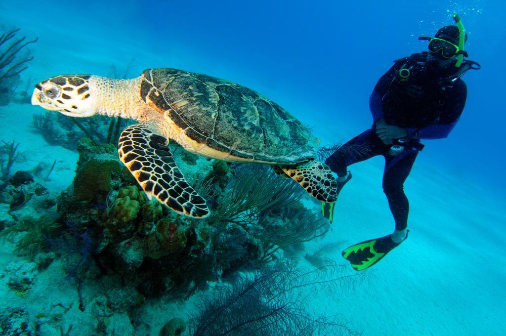Bohio Dive Resort Cockburn Town Esterno foto
