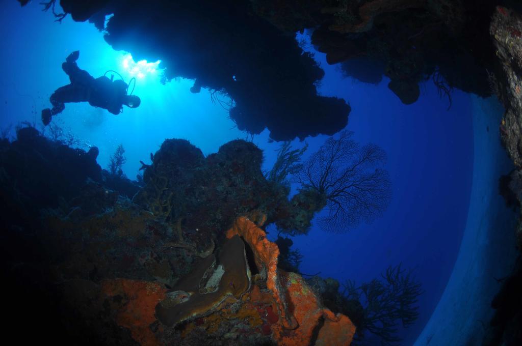 Bohio Dive Resort Cockburn Town Esterno foto
